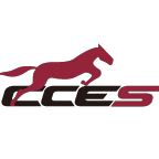 CCES国通快递查询